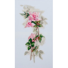 Рожева ніжність