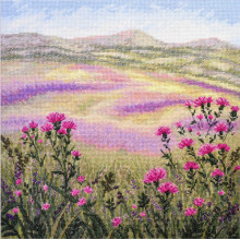 Лугові таємниці