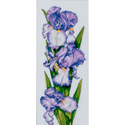 Бузкові іриси |  арт. VN-048 | Набір для вишивки хрестиком