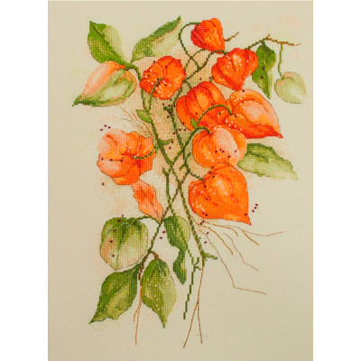 Фізаліс |  арт. VN-068 | Набір для вишивки хрестиком