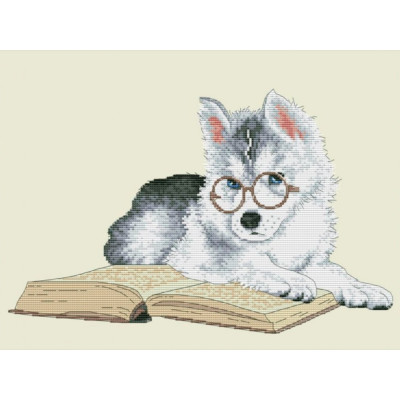 Хаскі (бежева канва) | арт. VN-150 | Набір для вишивки хрестиком Хаскі (бежева канва) | арт. VN-150 | Набір для вишивки хрестиком