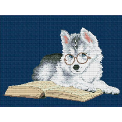 Хаскі (синя канва) |  арт. VN-151 | Набір для вишивки хрестиком