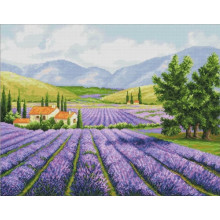 Лавандові поля Лавандові поля