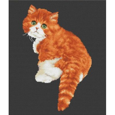 Милашка кіт |  арт. VN-177 | Набір для вишивки хрестиком