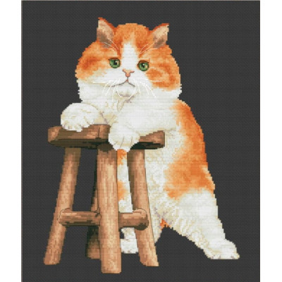 Моє кошеня |  арт. VN-178 | Набір для вишивки хрестиком