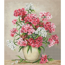 Турецька гвоздика