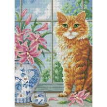 Рудий красень