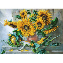 Квіти сонця