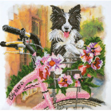 Захоплююча прогулянка