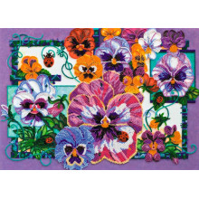 Фіалки триколірні