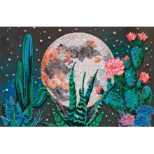 Ніч в пустелі