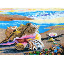 Морські мушлі