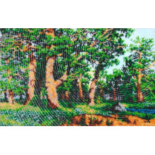 Дубовий гай