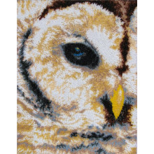 Погляд сови