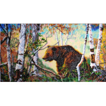 Ведмідь Ведмідь