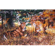 Відпочинок опівдні Відпочинок опівдні