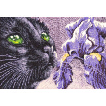 Фіолетово-чорний