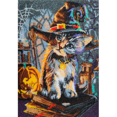 Чарівник |  арт. 641 | Набір для вишивки бісером