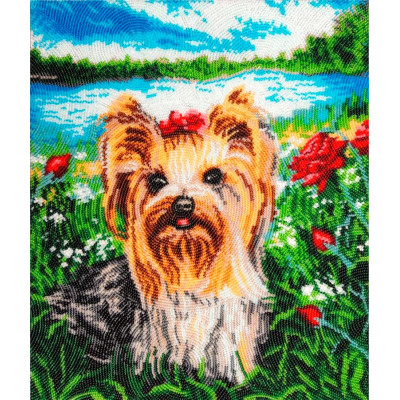 Симпатяшка йорк |  арт. 649 | Набір для вишивки бісером