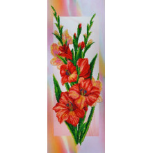 Гладіолуси