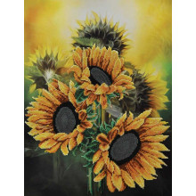 Відображення сонця