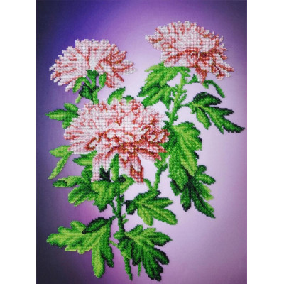 Хризантеми |  арт. P-262 | Набір для вишивки бісером