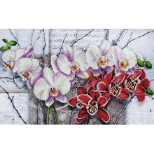 Симфонія орхідей