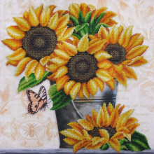 Дачні соняшники