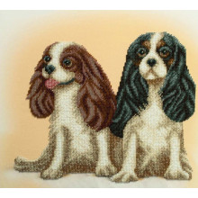 Парочка Кавалерів