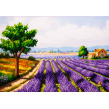 Лавандовий прованс