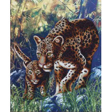 Перший урок