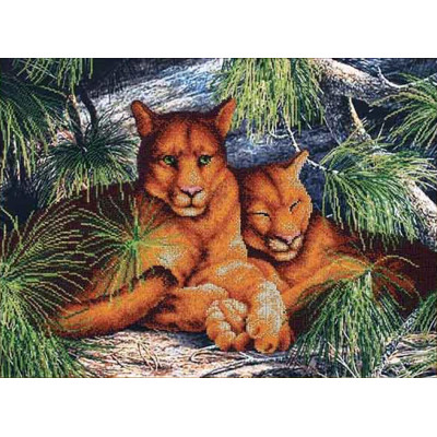 Пуми |  арт. Б-064 | Набір для вишивки бісером