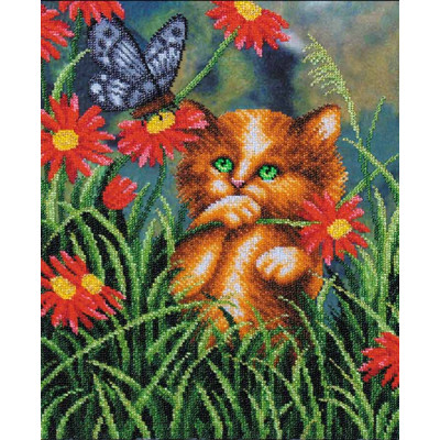 Рижок |  арт. Б-205 | Набір для вишивки бісером