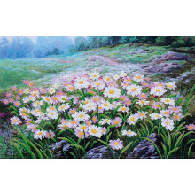 Лугові квіти