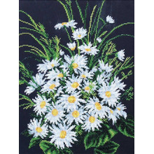 Сором'язливі ромашки