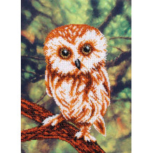 Сова Справедлива