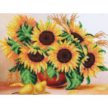 Шарм Соняшники