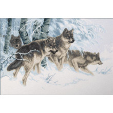 По зимовому сліду