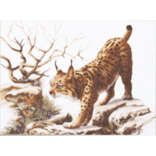 Рись на прогулянці