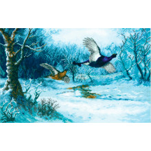 Політ над сріблястим струмком