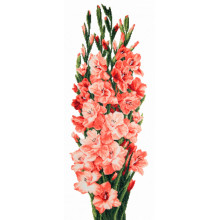 Символ кохання