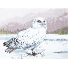 Мудра сова Букля